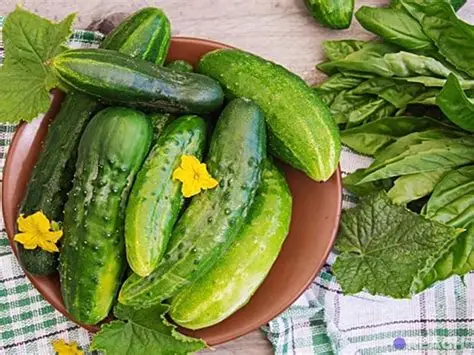 Өргөст хэмх нь кали болон усаар баялаг