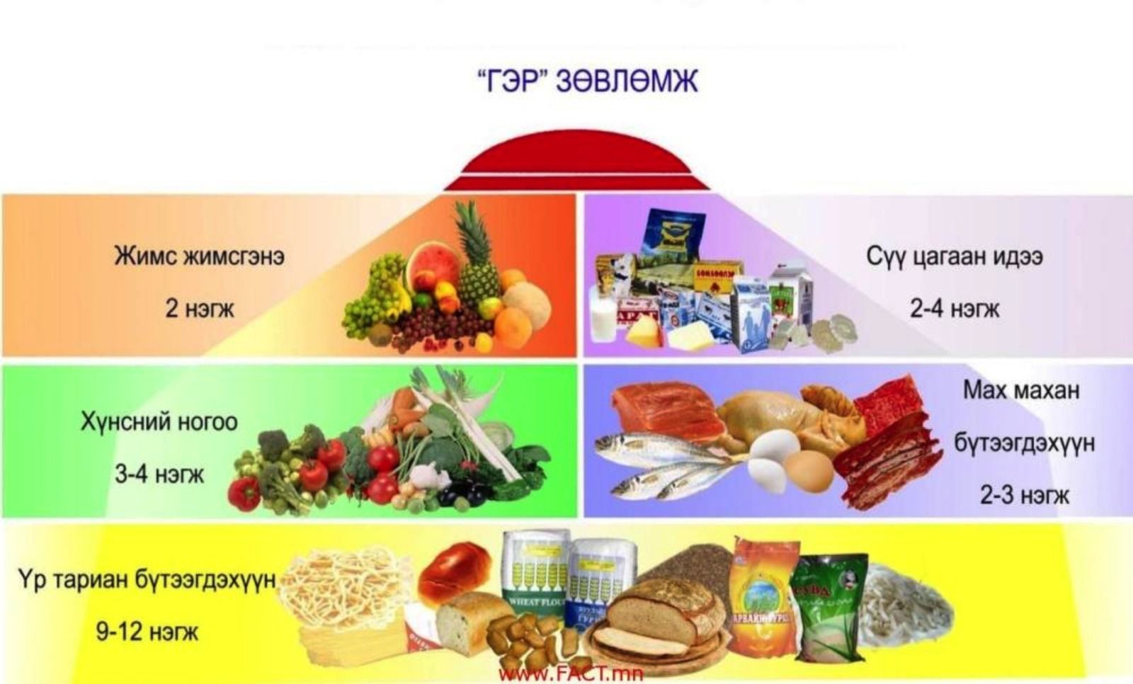 Хүний биед 40 гаруй төрлийн шим тэжээл хэрэгтэй