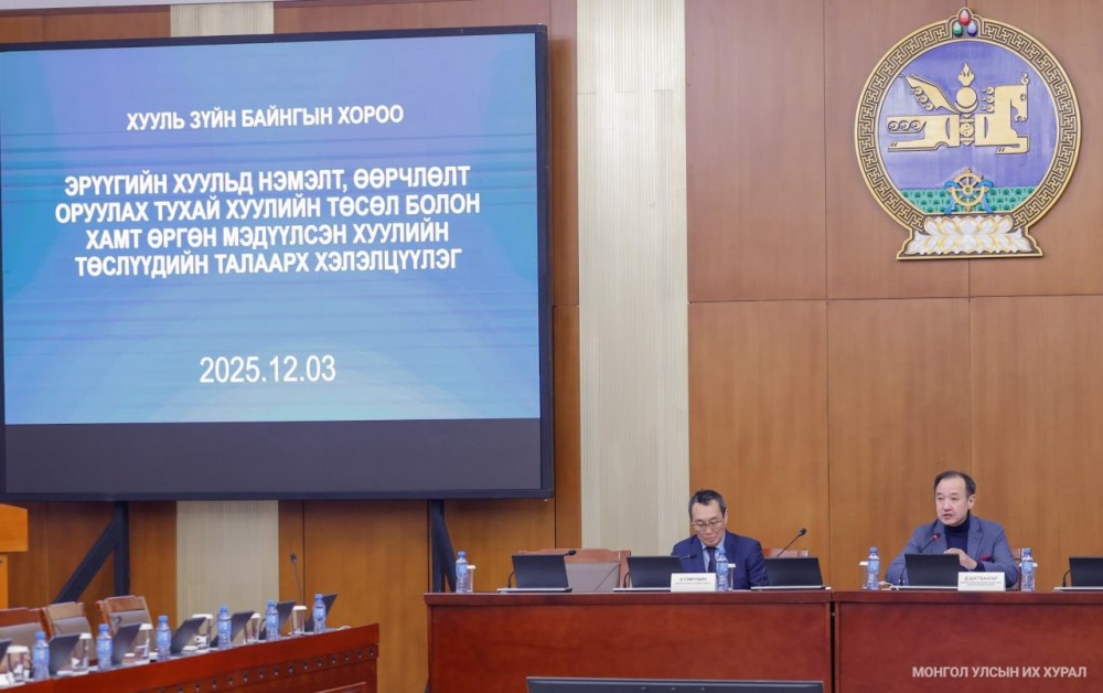 "Хуулийн нэг үг, өгүүлбэр өөрчлөгдөхөд л төр, иргэний, нийгмийн асуудал үндсээрээ хөндөгддөг"